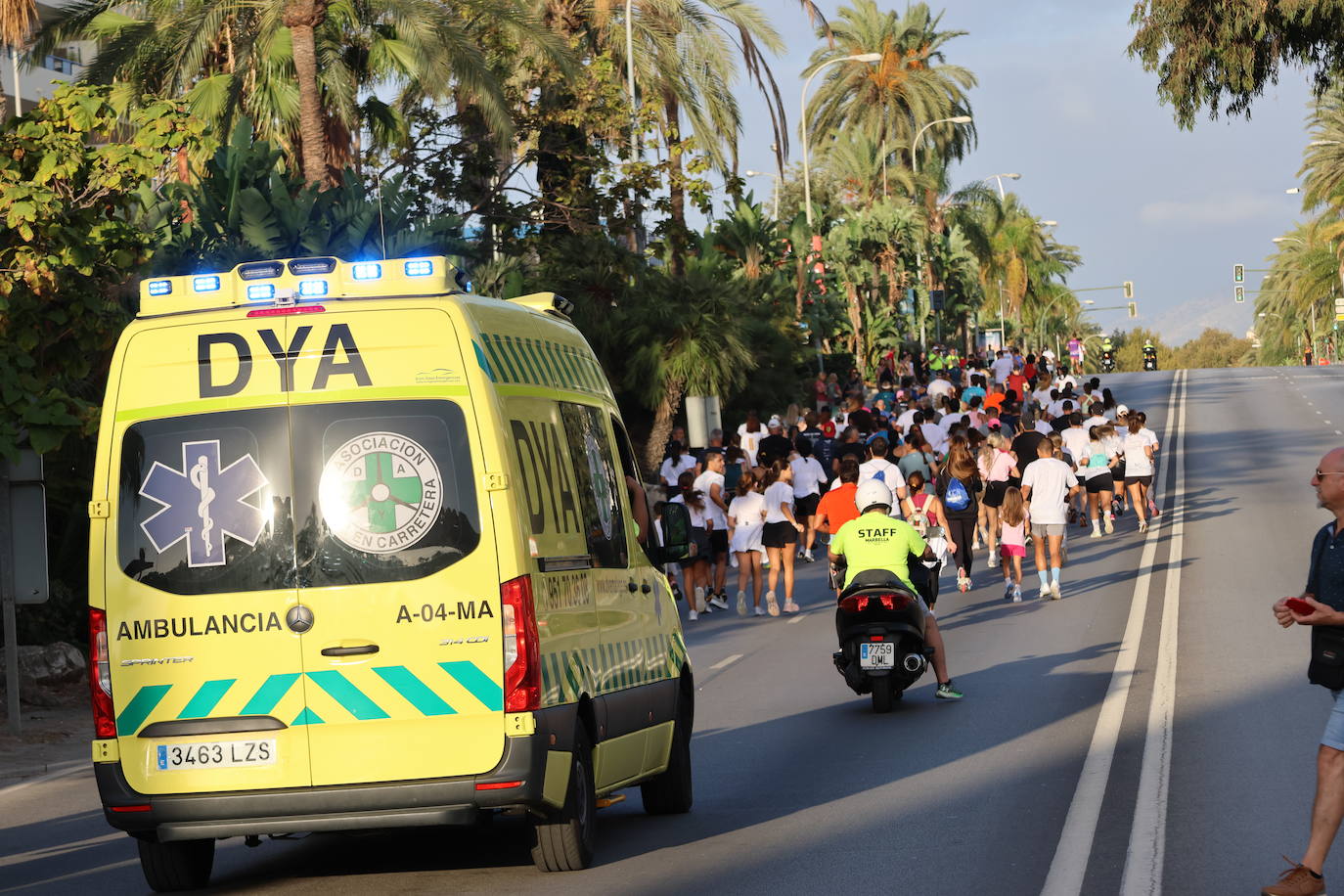 La Media Maratón 2024 de Marbella, en imágenes