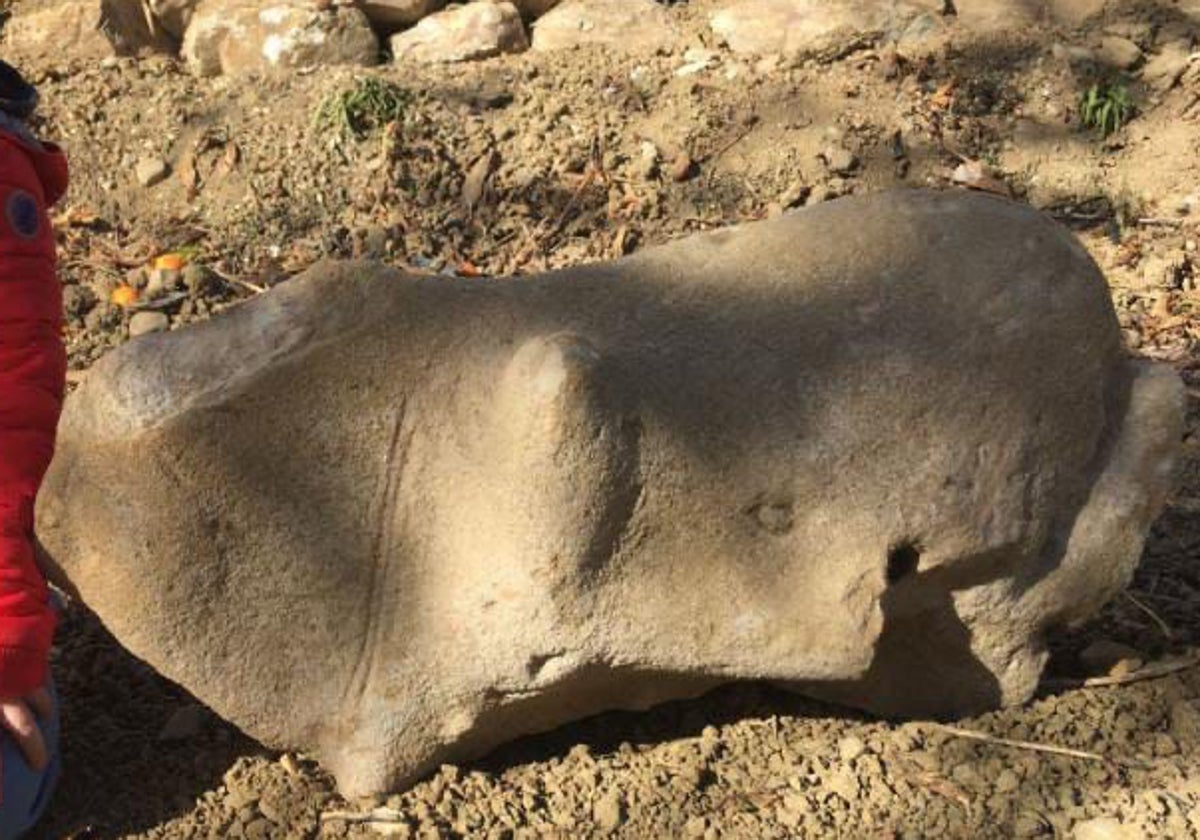 Una piedra de posible origen íbero descubierta recientemente en una finca privada.