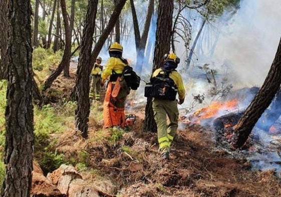 El BOJA publica la oferta de 340 plazas destinadas al Plan Infoca de Andalucía