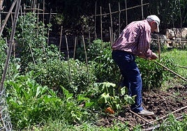 Imagen de archivo de un horticultor en la Huerta del Prado.