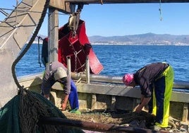 Los pescadores andaluces sufren «un nuevo varapalo» al tumbar la justicia europea el acuerdo entre la UE y Marruecos