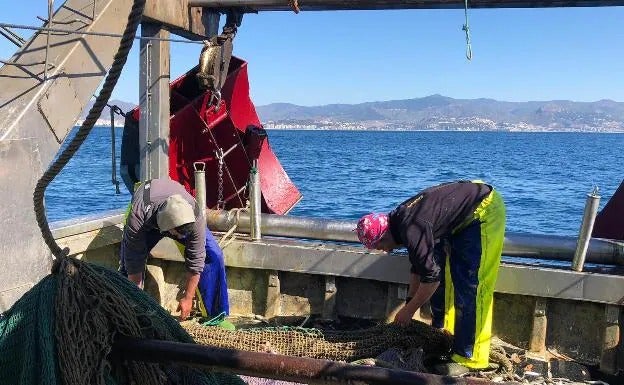 Los pescadores andaluces sufren «un nuevo varapalo» al tumbar la justicia europea el acuerdo entre la UE y Marruecos