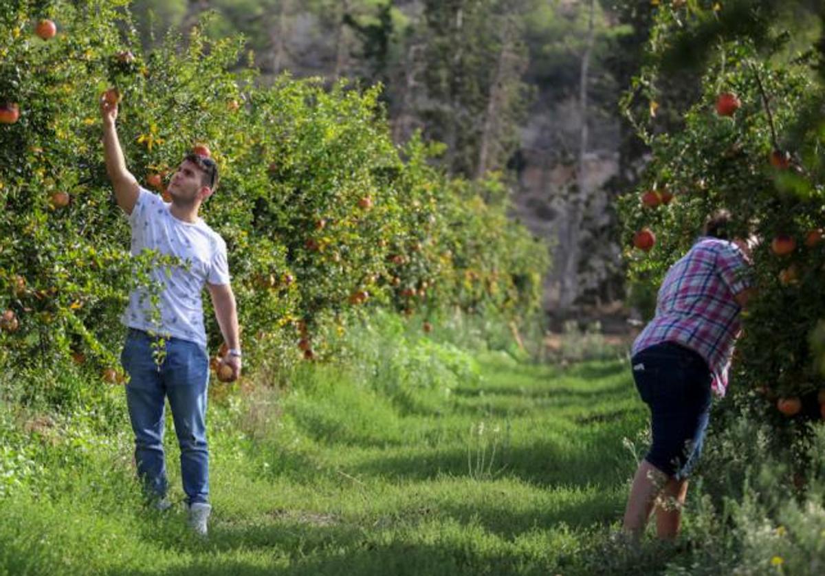 Imagen de archivo de un joven agricultor en una explotación agrícola.