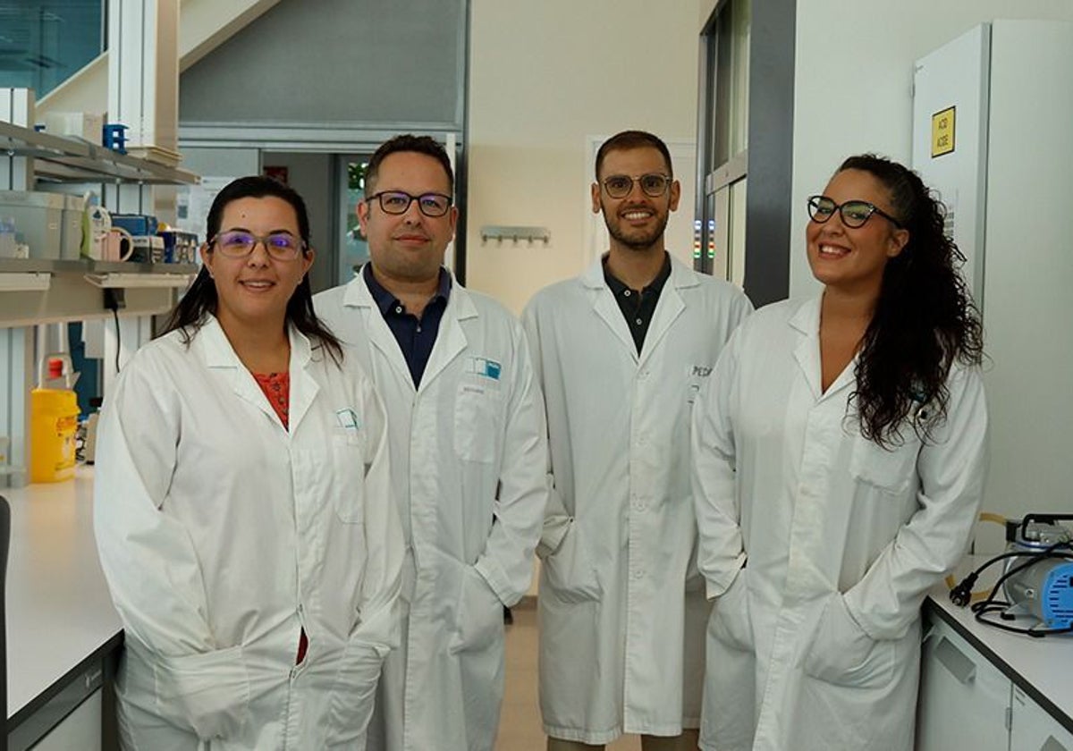 Crean un bioplástico a partir de la celulosa para que los envasados se conserven más y mejor