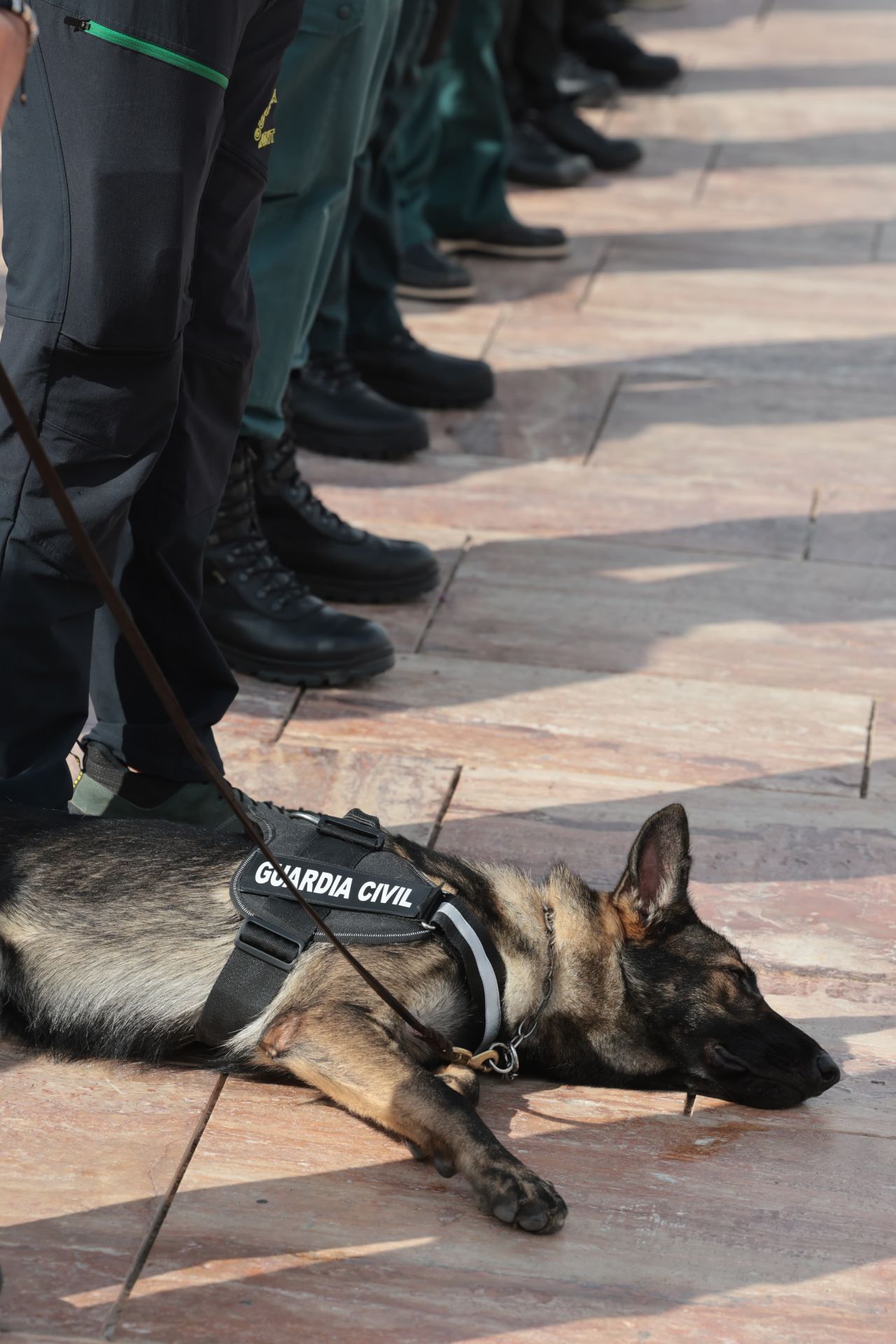 Festividad de la patrona de la Guardia Civil en Alhaurín de la Torre