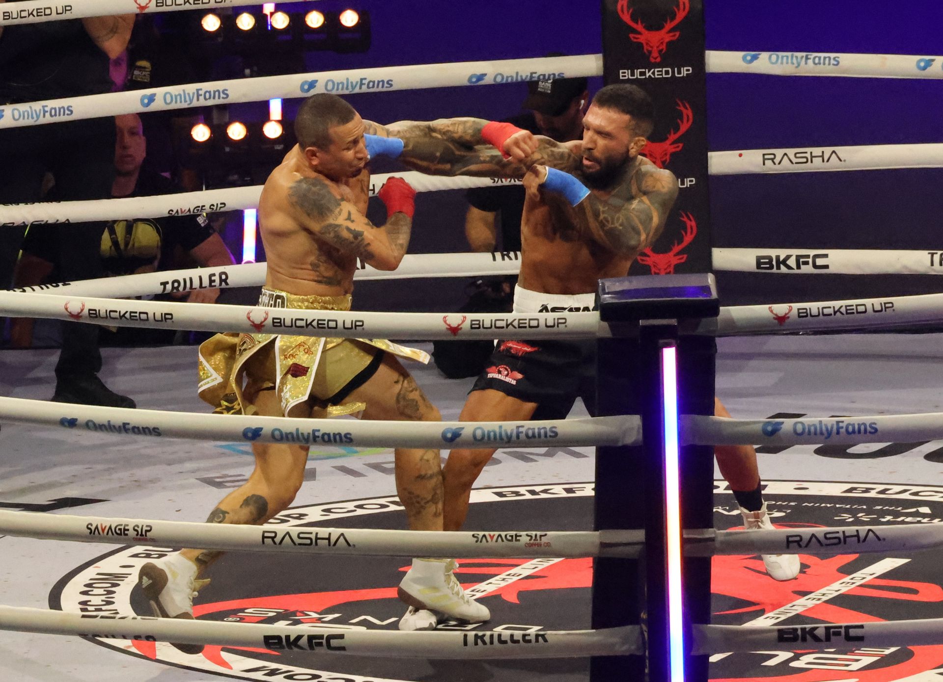 Las mejores imágenes de la BKFC en el Marbella Arena