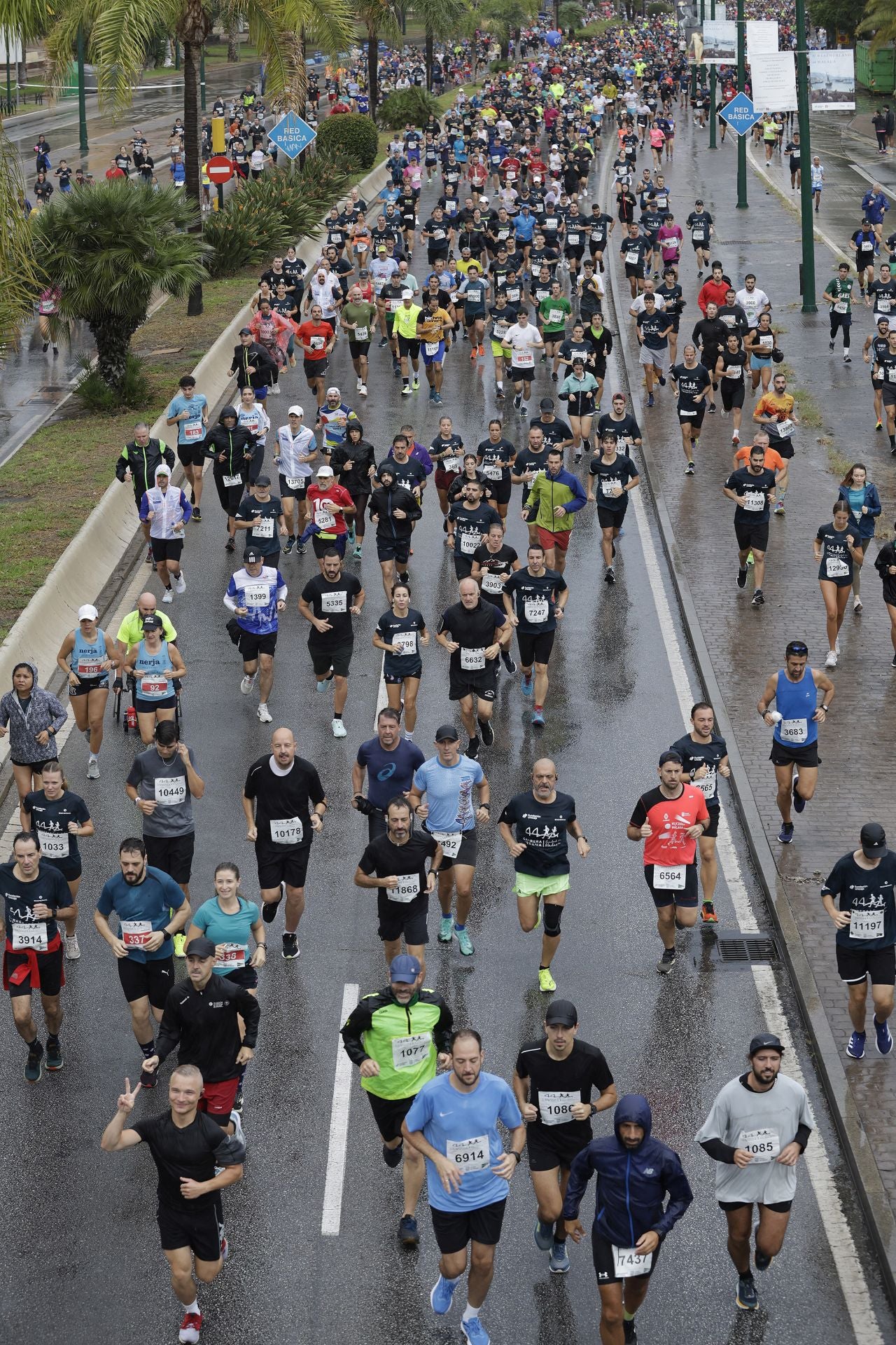 Las mejores imágenes de la Carrera Urbana Ciudad de Málaga de 2024