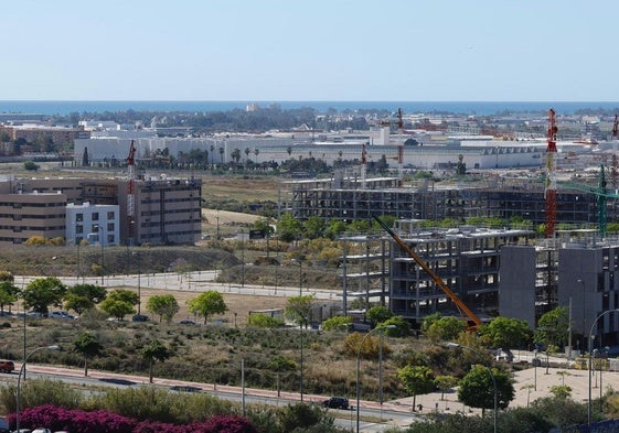 Obras para pisos de VPO que realiza el Ayuntamiento en los suelos ubicados al oeste de la Universidad.