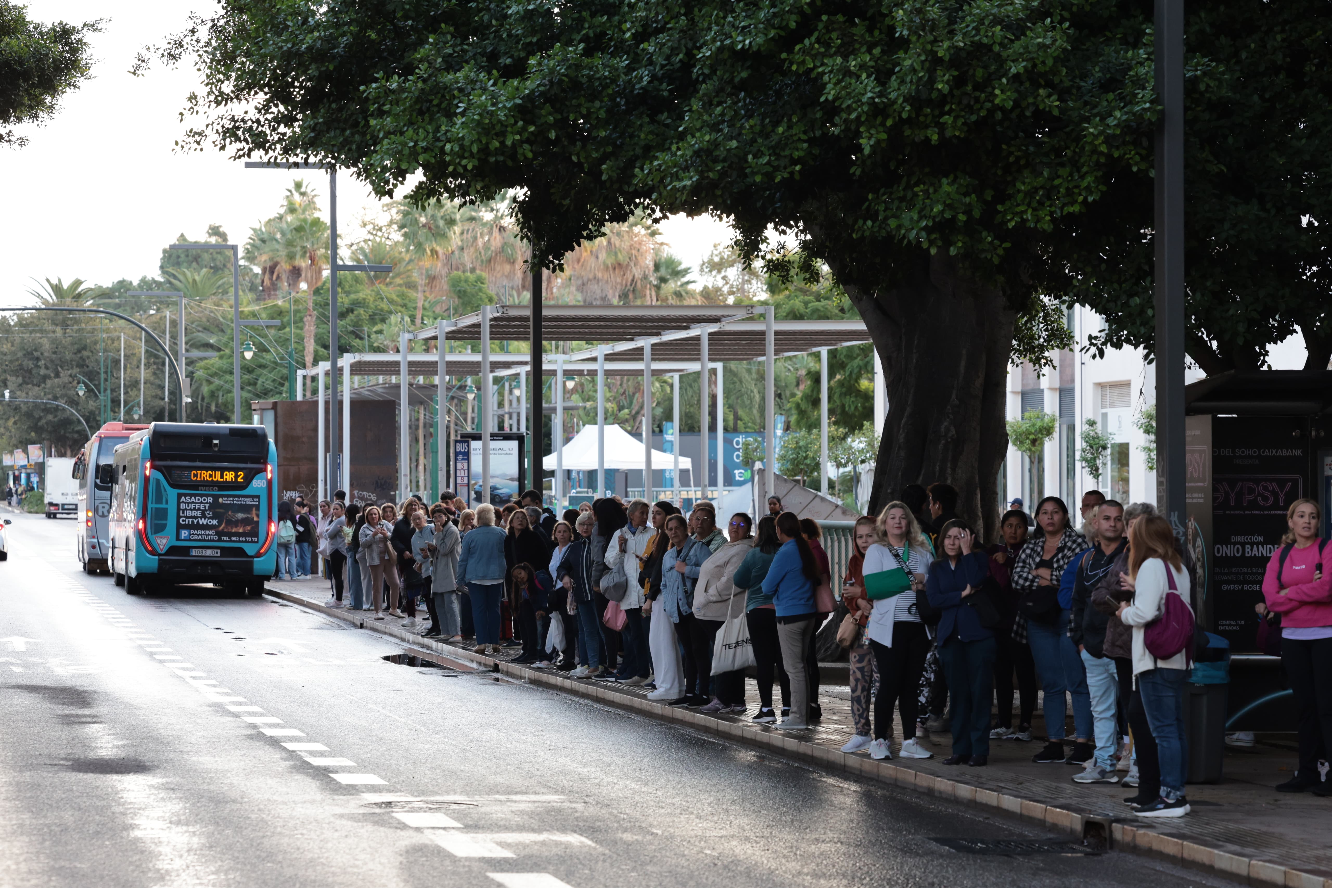 Largas colas en las paradas de autobús en Málaga por la huelga de conductores