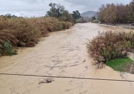 Crecida del Guadalhorce a su paso por Cártama.