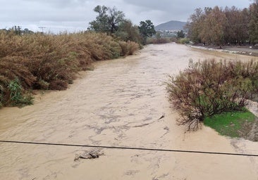 El río Guadalhorce se desborda por Cártama Estación e inunda la barriada de Doña Ana