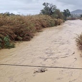 El río Guadalhorce, en riesgo de desbordarse en Cártama