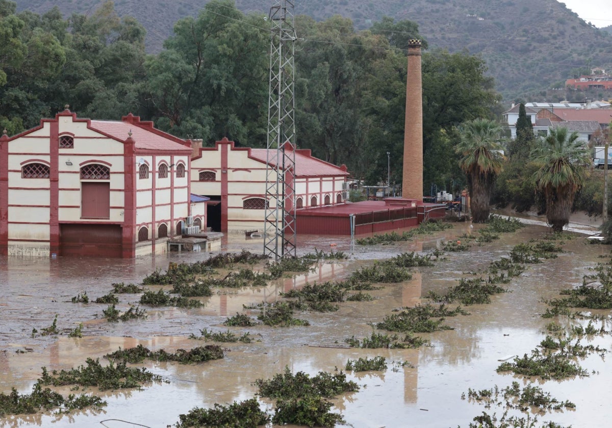 El agua inunda los terrenos aledaños al río Guadalhorce, en Álora.