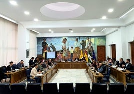 La Corporación de Rincón de la Victoria reunida en pleno.