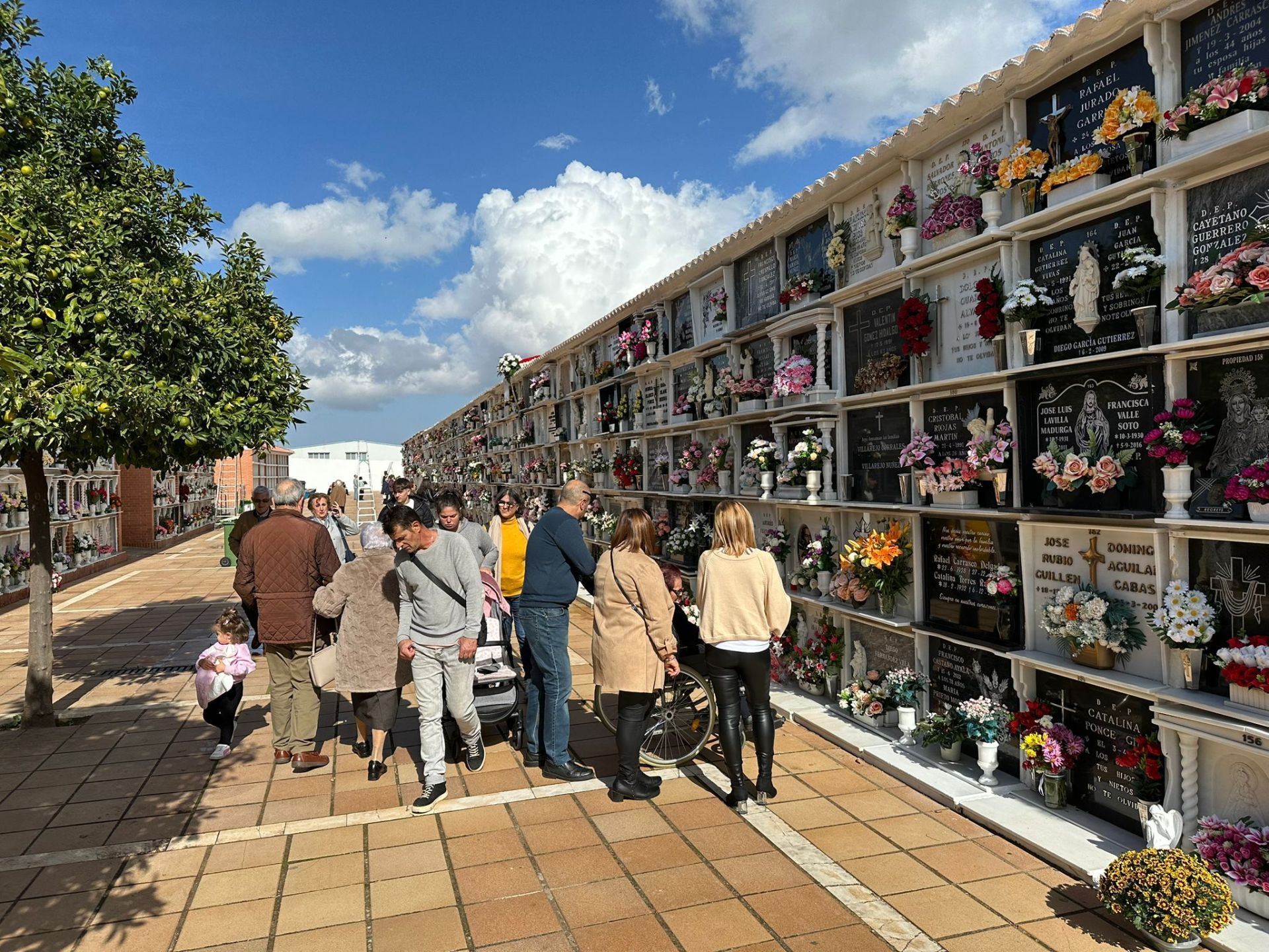 Cementerio de Ronda