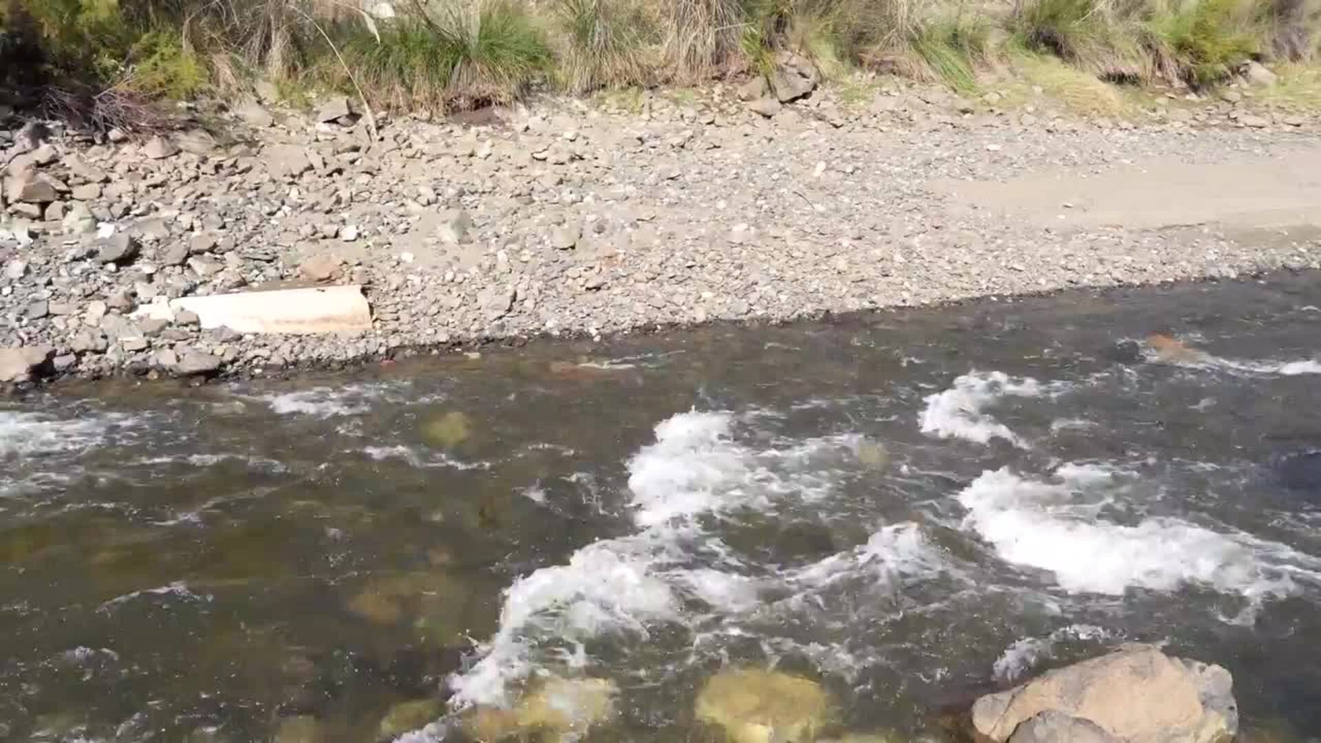 La Concepción dispara su nivel tras el paso de la DANA