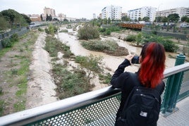 La escena congregó a muchos curiosos en torno al cauce urbano del Guadalmedina.