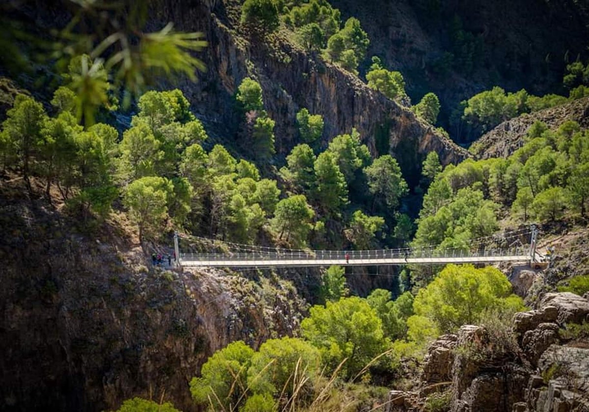 Imagen de la pasarela colgante sobre el río Almanchares inaugurada en octubre de 2020.