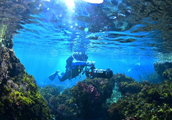 Un fotógrafo submarino, en los acantilados de Maro-Cerro Gordo.