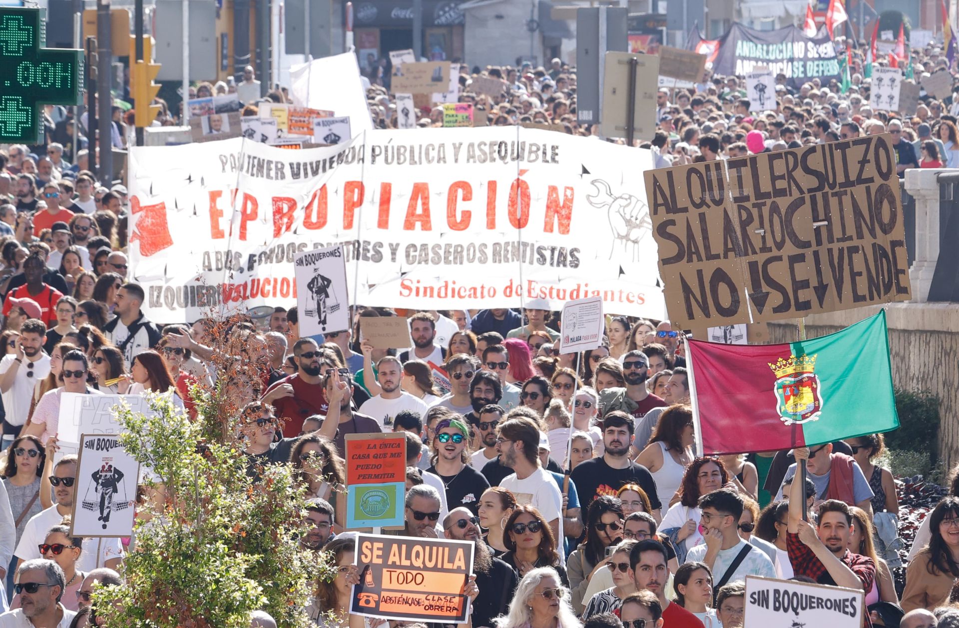 El 9N en Málaga, en imágenes