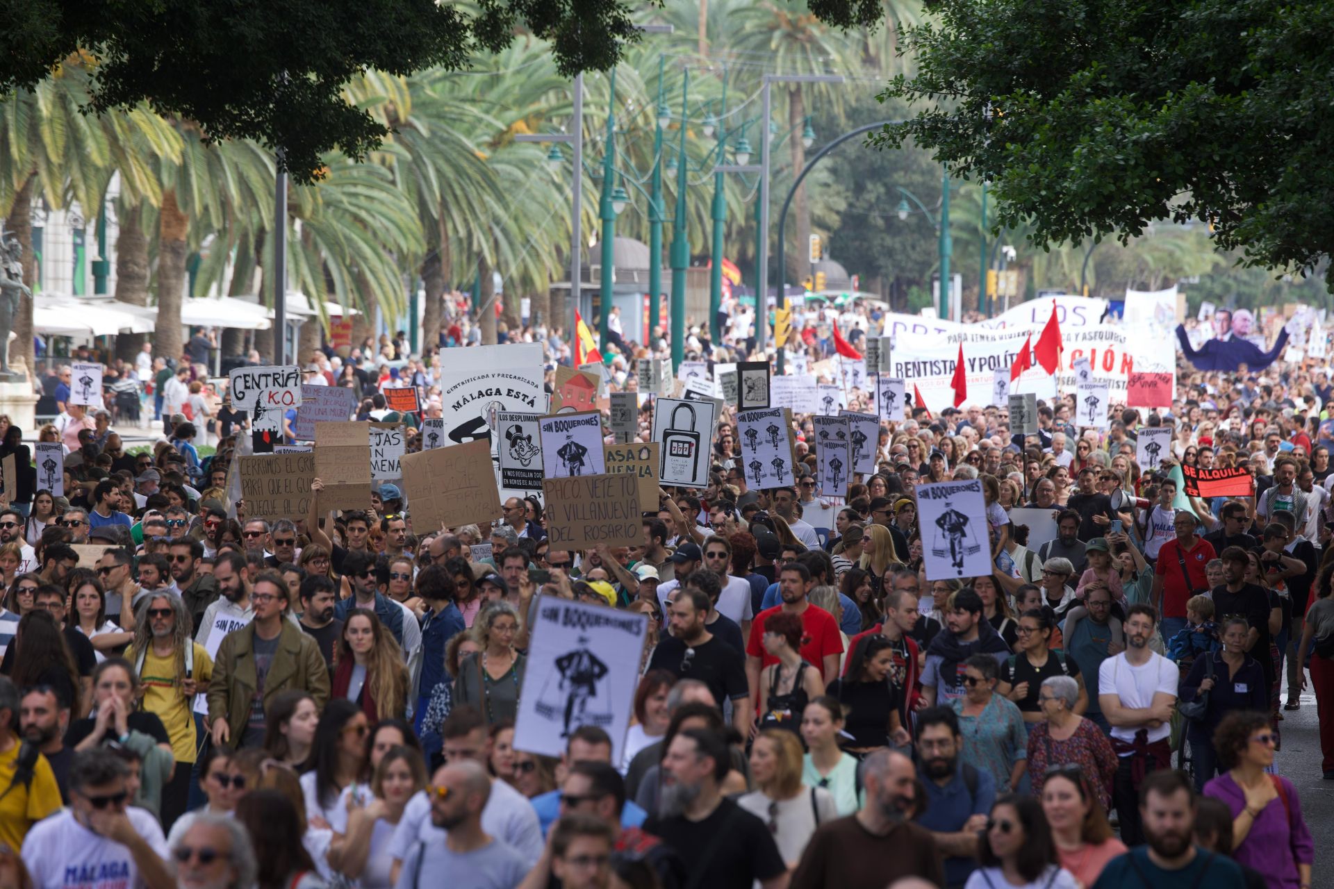 El 9N en Málaga, en imágenes