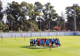 La plantilla del Málaga, en un entrenamiento reciente en La Academia.