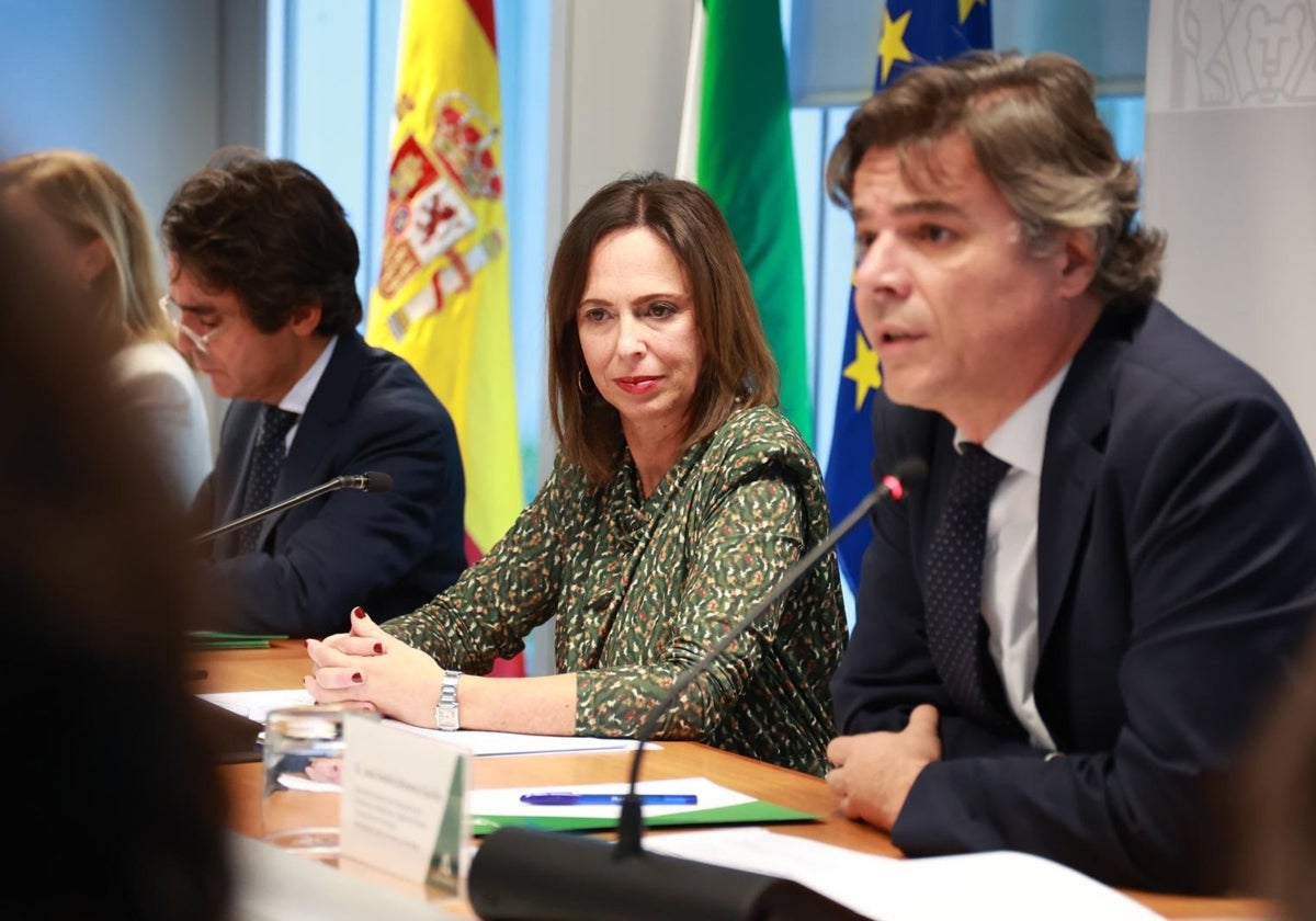 La Junta constituye la comisión que redactará el nuevo Plan de Ordenación Territorial de Andalucía