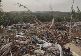 Acumulación de cañas y desechos en un campo de cultivo.