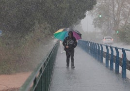 El puente de acceso debe ser ensanchado, según el proyecto de encauzamiento.