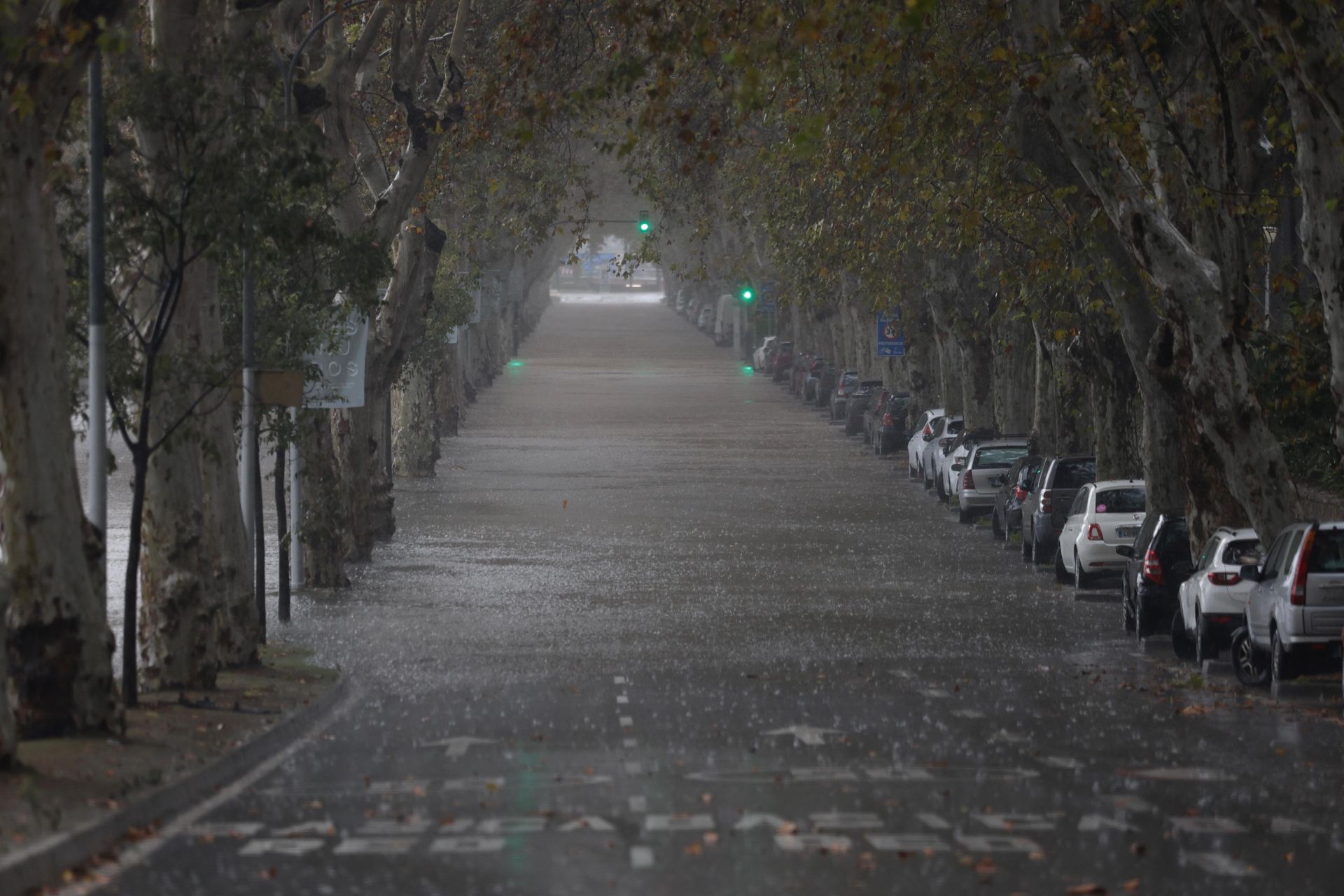 El Paseo de los Curas, en la capital, cortado