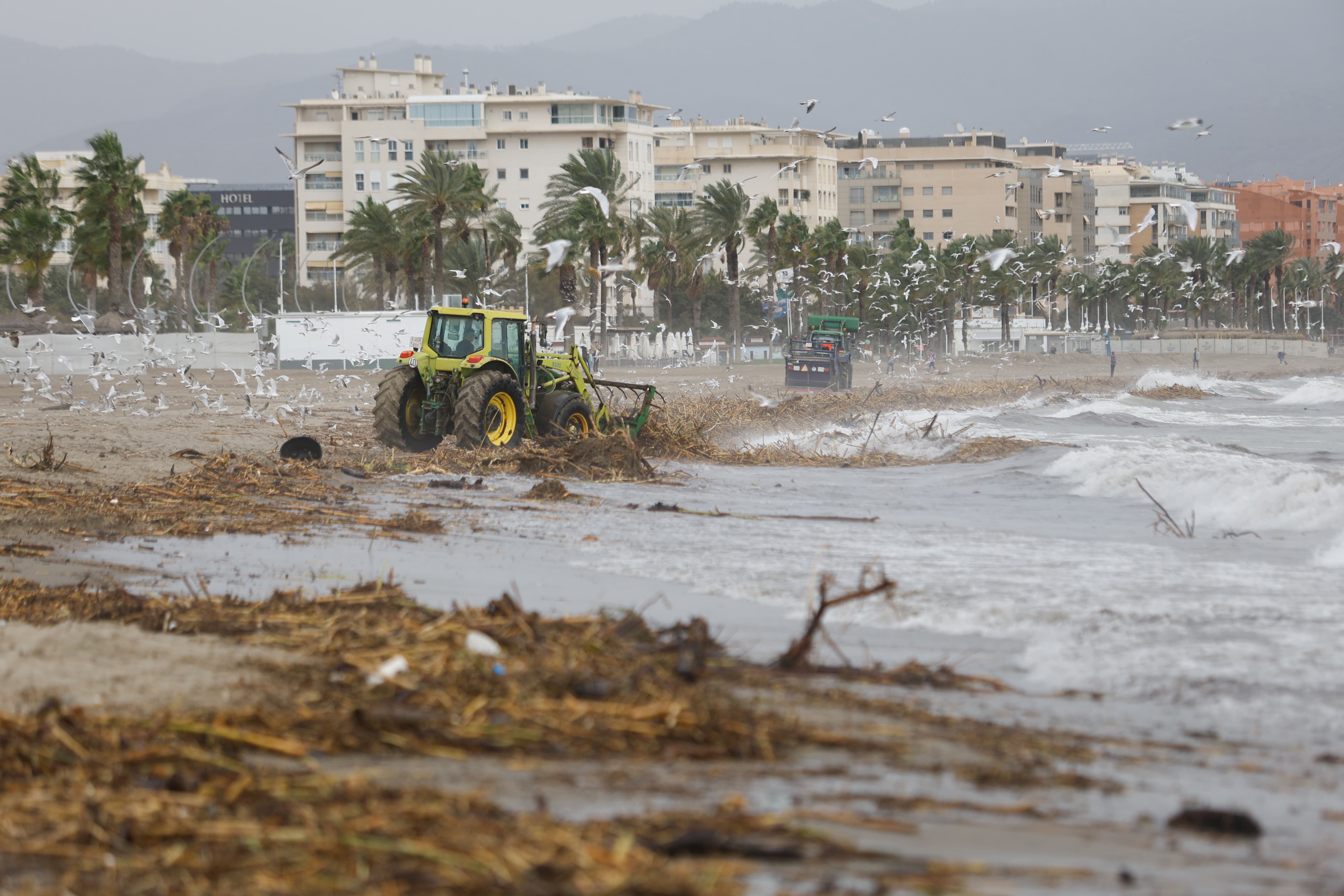 Trabajo de limpieza en la playa de la Misericordia este jueves.