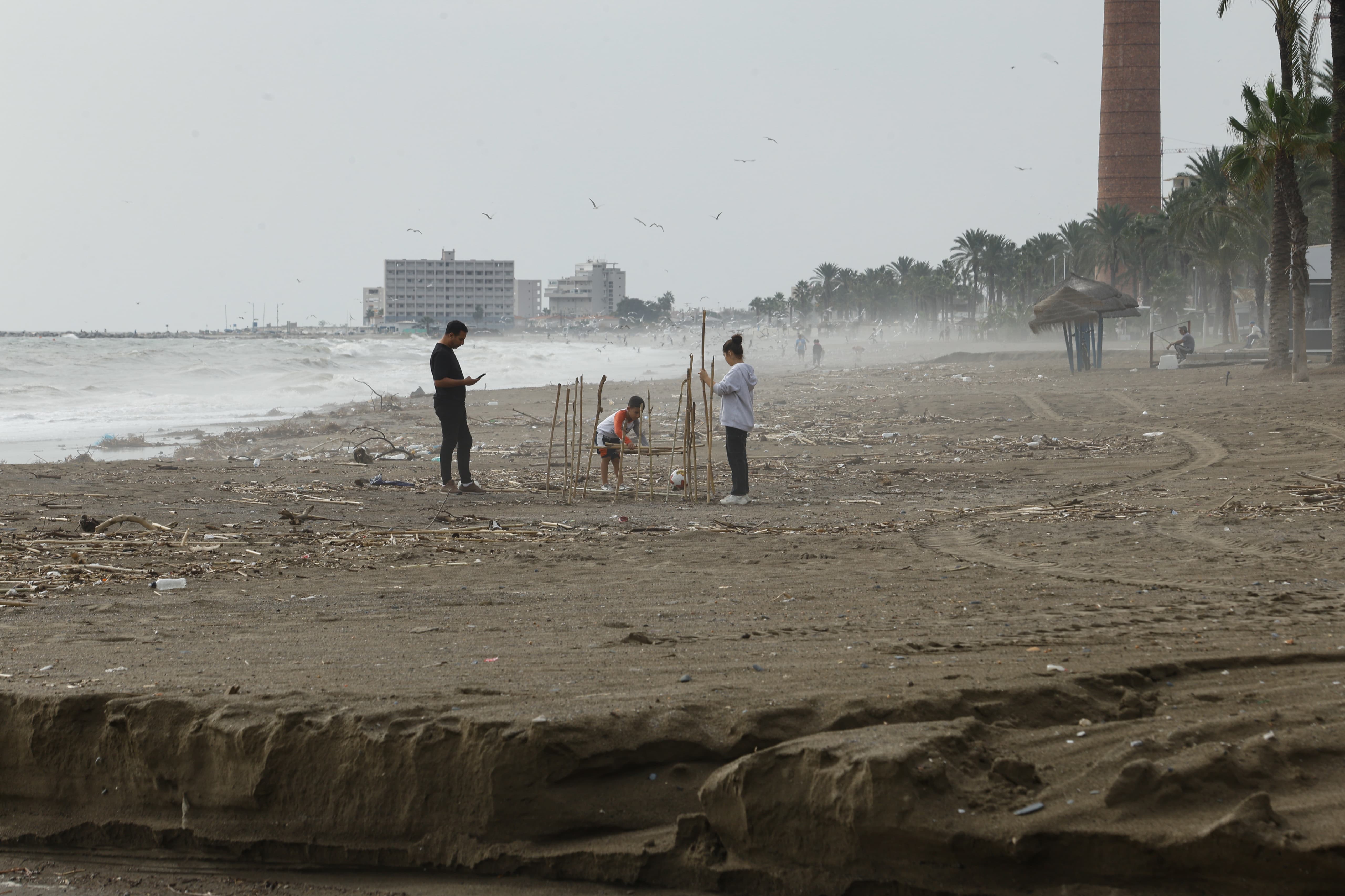 Limpieza en la playa del paseo marítimo Antonio Banderas.