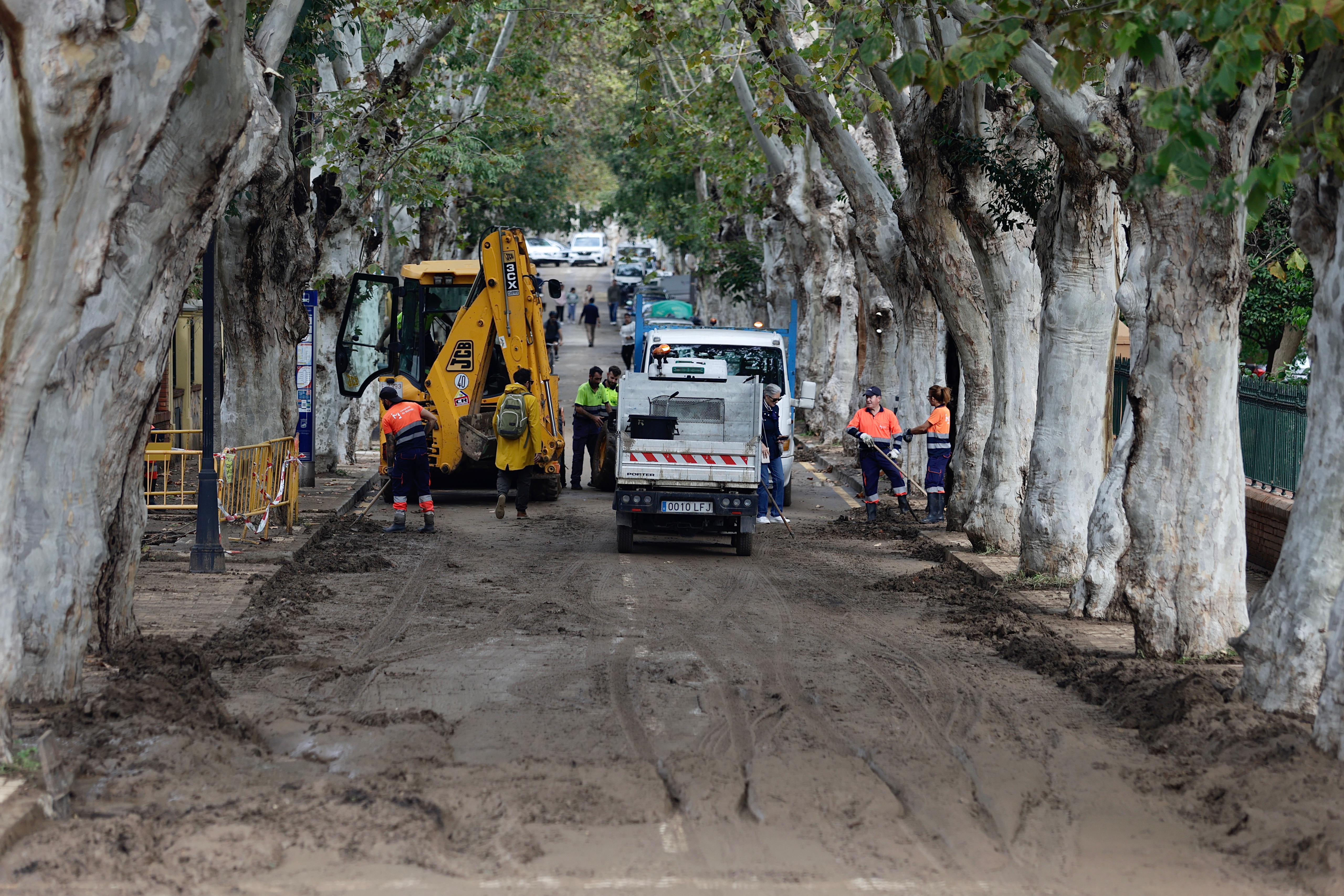 Operarios trabajan en la limpieza del paseo de Sancha y zona de El Limonar, donde quedan aún acumulados de barro y balsas de agua.