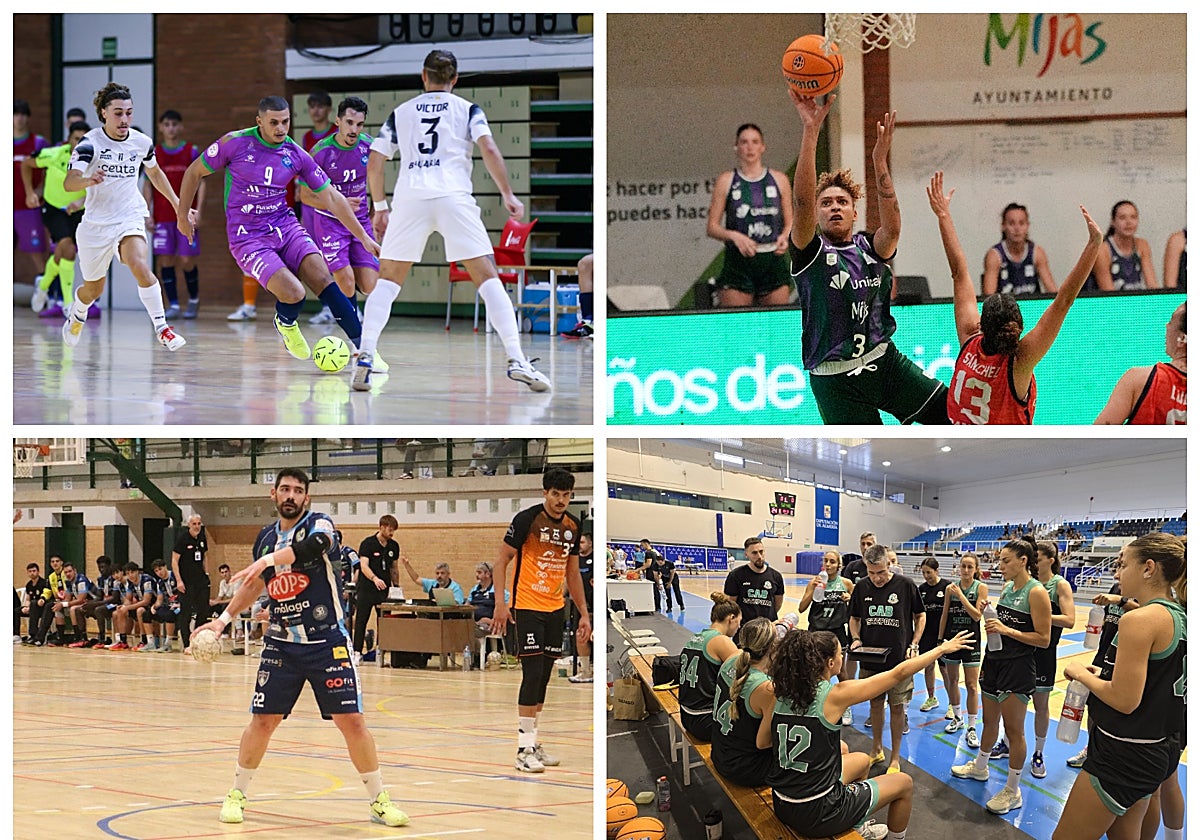 Polideportivo malagueño: Los equipos de la provincia se hacen fuertes en casa