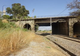 Ejemplo de uno de los pasos superiores que se tendrán que adaptar al paso de camiones sobre los trenes.