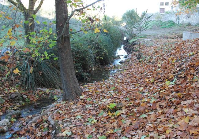 Tramo del río de la Cueva (frente a la fuente del Caño)