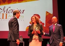 Pedro Fernández, Elena Blanco y Javier Salas