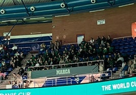 Un grupo de alumnos viendo el último de los tres partidos de la serie que enfrentó a Australia con Estados Unidos.