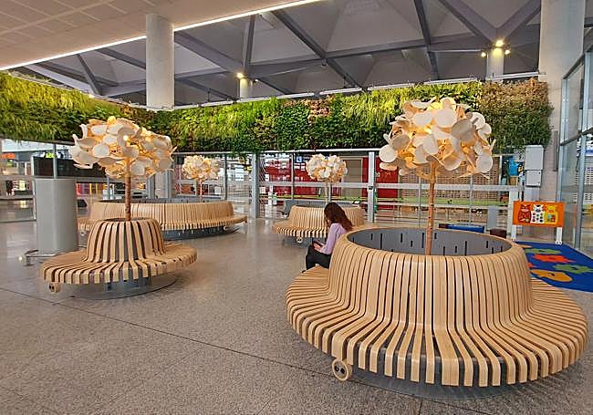 Las grandes biznagas que dan un olor especial al aeropuerto de Málaga-Costa del Sol.