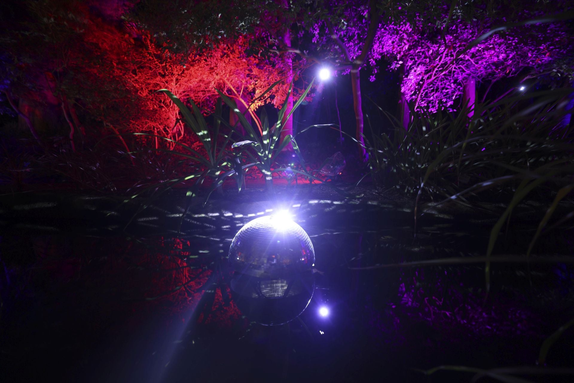 &#039;Ilusión&#039;, el espectáculo navideño de La Concepción, en imágenes