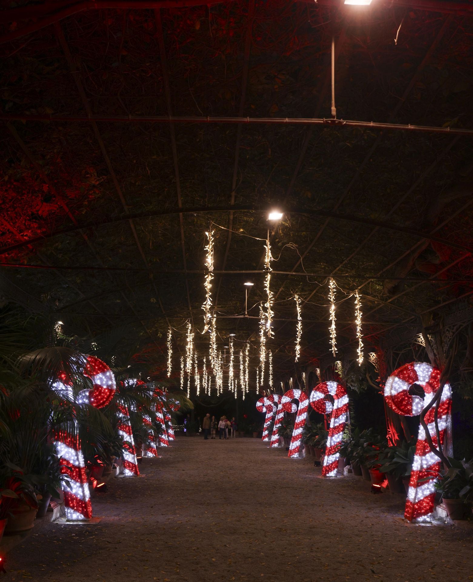 &#039;Ilusión&#039;, el espectáculo navideño de La Concepción, en imágenes