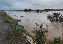 Imagen de la desembocadura del río Vélez el pasado día 13 de noviembre cuando se desbordó.