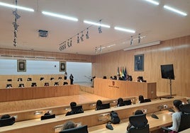 Pleno infantil de este miércoles con los alumnos del Colegio Emilia Olivares.