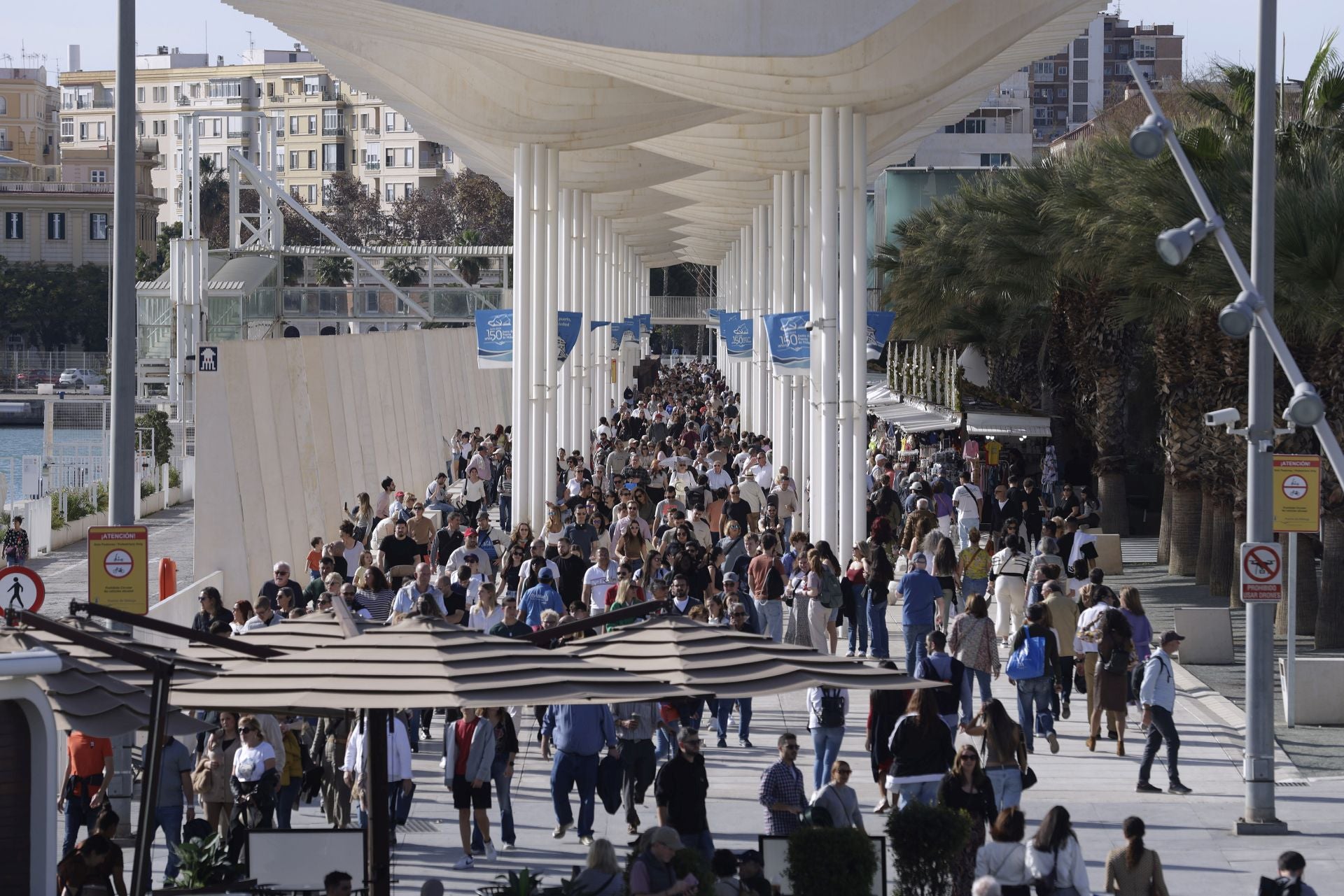 La Navidad y el buen tiempo llenan el centro de Málaga en pleno puente