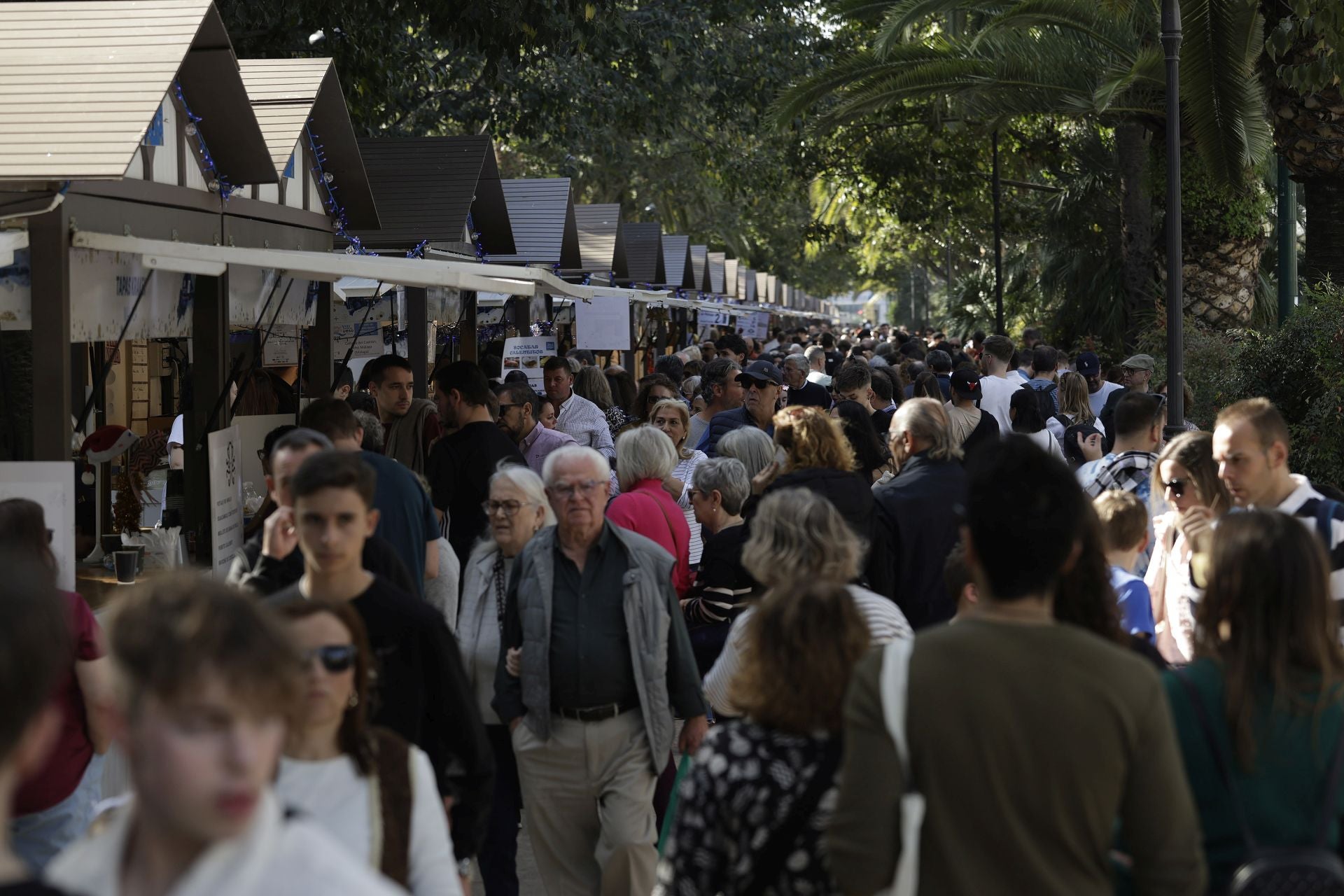 La Navidad y el buen tiempo llenan el centro de Málaga en pleno puente