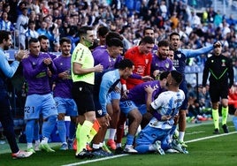 Dioni celebra con el banquillo del Málaga el tanto conseguido en La Rosaleda.