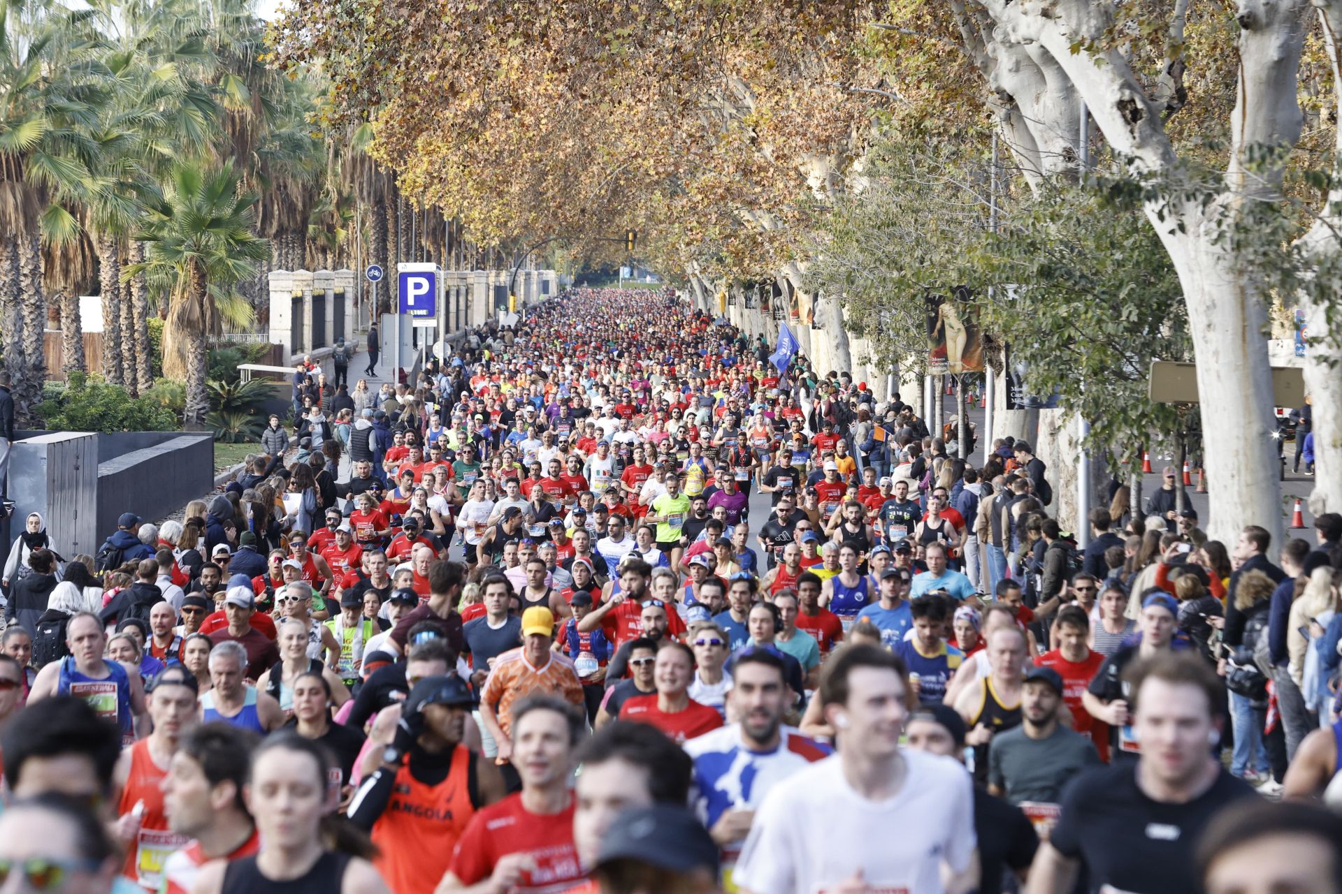 Las mejores imágenes del Generali Maratón de Málaga 2024