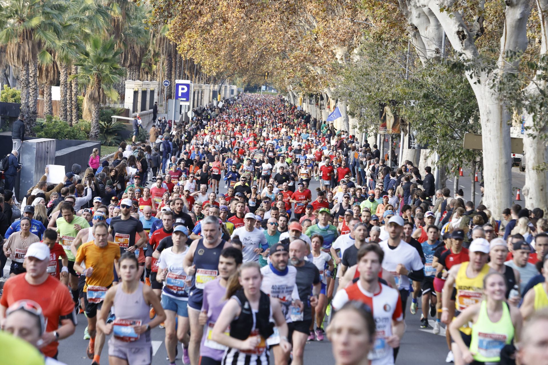 Las mejores imágenes del Generali Maratón de Málaga 2024