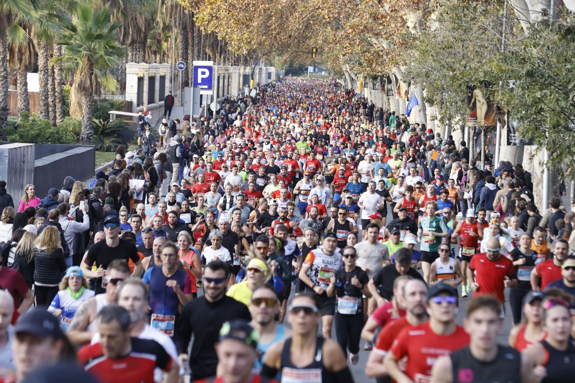 Las mejores imágenes del Generali Maratón de Málaga 2024