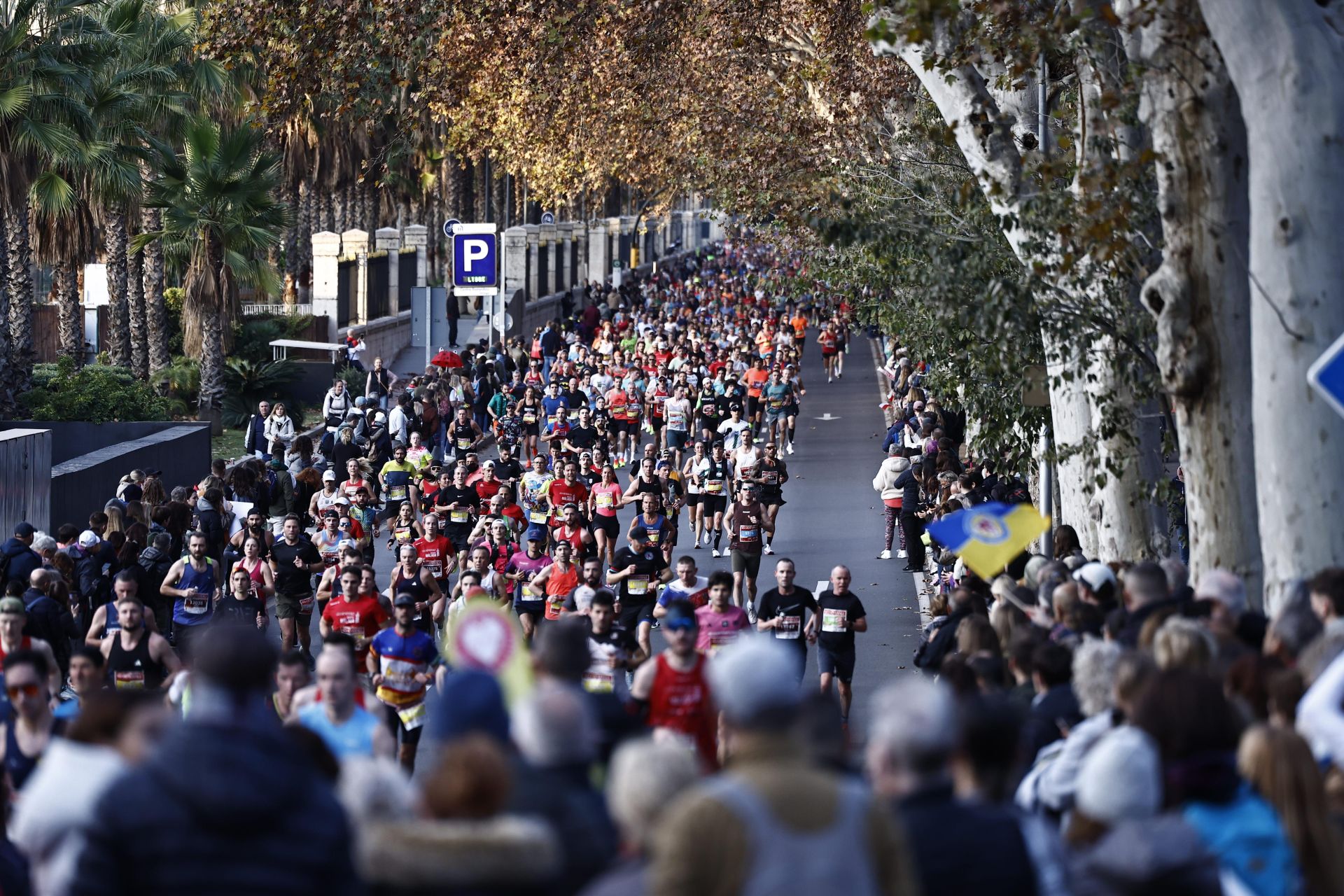 Las mejores imágenes del Generali Maratón de Málaga 2024